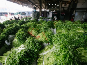 图集｜武汉人的菜篮子如何保障？记者实拍蔬菜供给一线