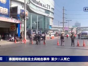 与警方对峙超12小时，泰国枪击案凶手被击毙，2名中国公民成功脱险