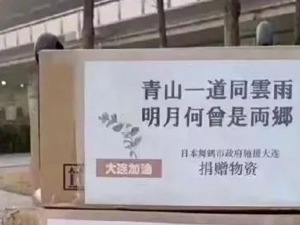 每人5000日元，日执政党议员向中国捐款！日本捐赠物上这些古诗也火了