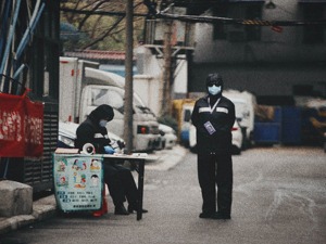 20 青岛啤酒