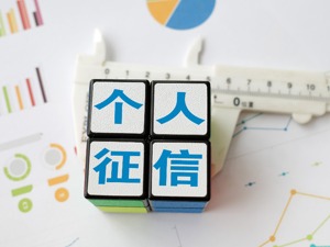 多家网贷平台接入央行征信系统 借款人失信将被记入个人征信报告