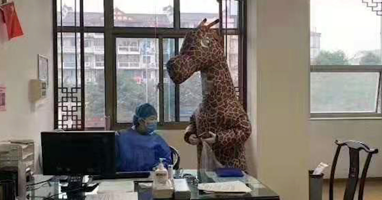 视频 | 泸州女子穿长颈鹿服去医院挂号 专家提示：不可取