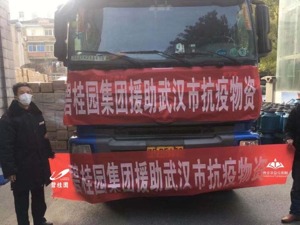 企业战“疫”丨从火神山一线到扶贫村基层，碧桂园调动各方资源全面抗疫
