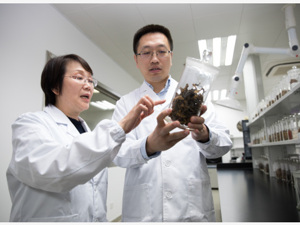 科技部：研究证明磷酸氯喹治疗新冠肺炎具有一定疗效，将扩大临床试用范围