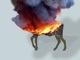 _________400065381_banner.thumb_hs