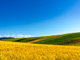 ____500656297_wx.thumb_hs