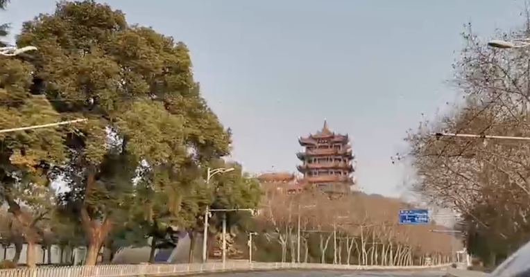 我在武汉·每经记者Vlog（30）：湖北A级景区对支援湖北的医护免票5年