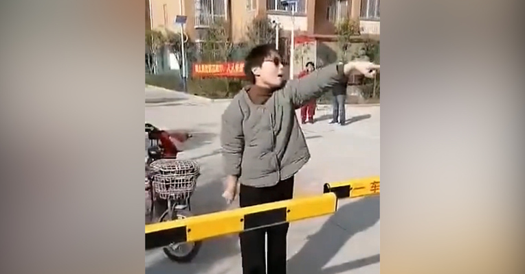 视频丨河南一公职人员辱骂防疫人员被拘  叫嚣：录下来让全国人民都认识我