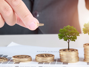 财政部：抓好已出台财政贴息、大规模降费、缓缴税款等政策的执行