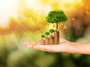 3000亿专项再贷款后  央行再发放5000亿大礼包！