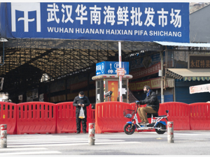 市场监管总局：凡未列入畜禽遗传资源目录的陆生野生动物，一律禁止食用
