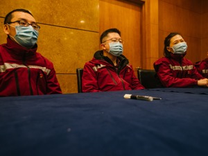 15 金科