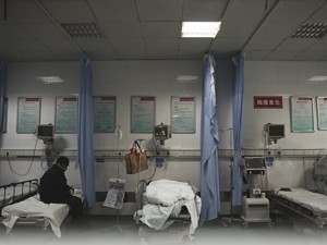 国家战疫丨世卫组织一名员工确诊
