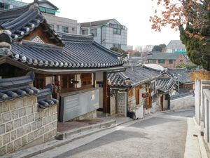 一床难求，韩国大邱有患者在等待中死去，而这个华人最多的城市，至今零确诊