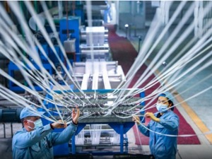 国家战役|入境不如实健康申报将追责