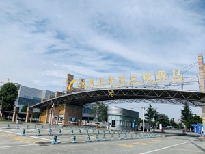 进出口总额蝉联全国第一 成都高新综保区前两月同比增长19.7%