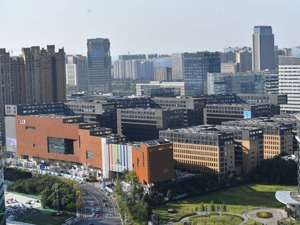 “国际化营商环境建设年”的高新答卷