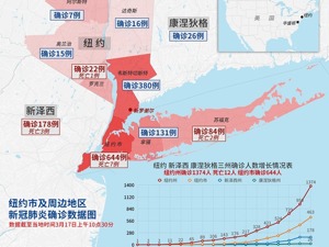 美国纽约州新冠肺炎确诊人数达1374人
