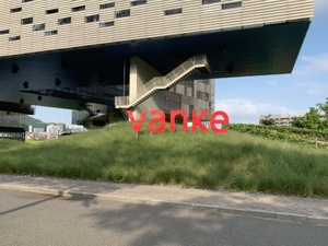 镁刻·年报深读| 万科：平凡的一年
