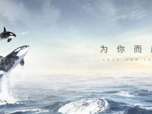 三获殊荣！领地集团荣登中国三大百强榜