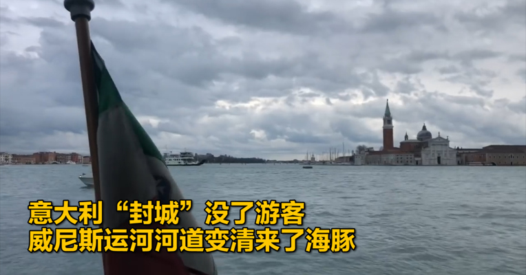 视频｜意大利“封城”没了游客 威尼斯运河河道变清来了海豚