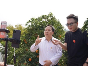 提振农产品消费，请来县长做直播