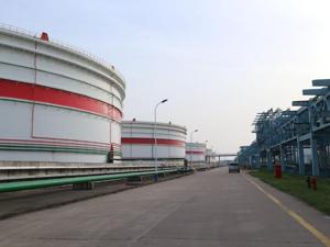 油价大跌囤油不易：储油罐饱和，有航线运费一度大涨400%