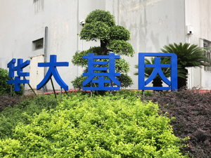 华大基因澄清:错误率高的新冠病毒快速检测试剂盒非公司研制