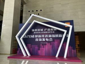 成都市新经济委副主任周洪：迈入2.0时代，创新制度汇聚更多要素
