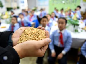 有国家禁止出口，有国家粮仓只够3个月！联合国预警粮食危机，我们要不要担心？
