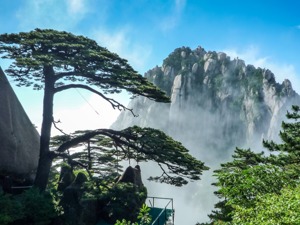 黄山游客连续两天达到限制量 景区急发公告：请选择其他旅游线路 改日再来！
