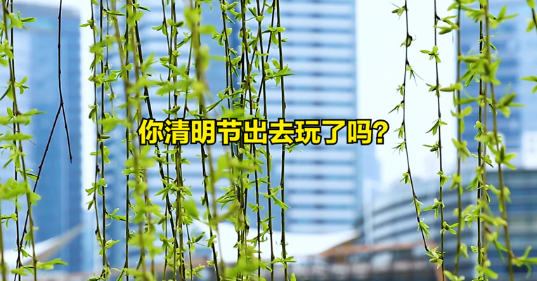 视频丨清明假期4325.4万人次出游，你清明节出去玩了吗？