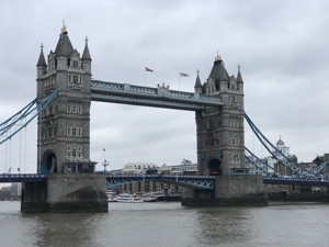 专访英国政经专家：外交大臣代行首相职责，正式“脱欧”或将延期