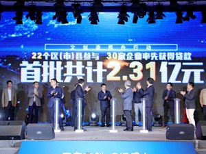 成都文创大动作：“文创通同舟行动”首批放款2.31亿元 “天府文创云”正式上线
