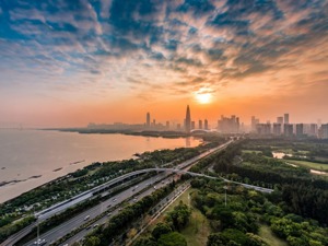 向海而生，深圳如何“补课”？