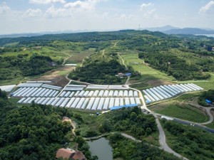 银保监会下发通知：不得对受疫情影响较大的涉农机构抽贷、断贷