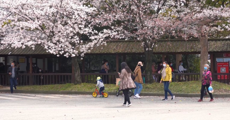 视频丨五一机票价格比去年跌三成 出游人数或将超9000万人次