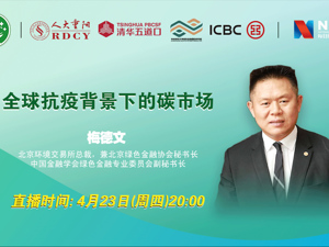 回放｜全球抗疫背景下国际碳市场的现状和未来预期