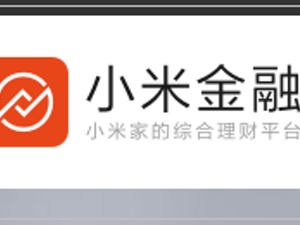 新网银行原行长赵卫星赴任小米金融副总裁