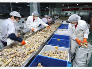 第二届“双品网购节”将于4月28日至5月10日举行