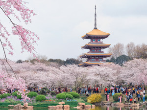 湖北利川鼓励2.5天休假：为干部职工购买旅游年卡