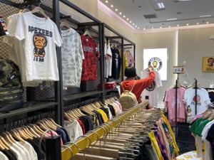 真假猴王傻傻分不清  “真猴王”胜诉获赔500万  假猴王还在“盛行”