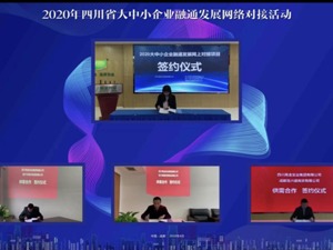 征集127家企业608个项目 四川发布通融发展市场机会清单