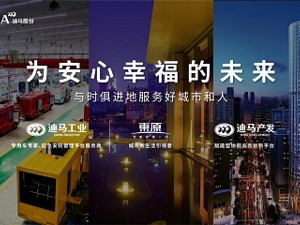 迪马股份2019年报出炉：利润营收双增长 板块联动效应初显
