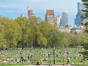 美国确诊超113万，占全球1/3！科州一肉厂复工后确诊翻倍， 部分州疫情出现反弹