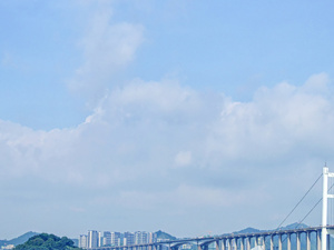 虎门大桥发生异常抖动现已封闭，专家回应来了
