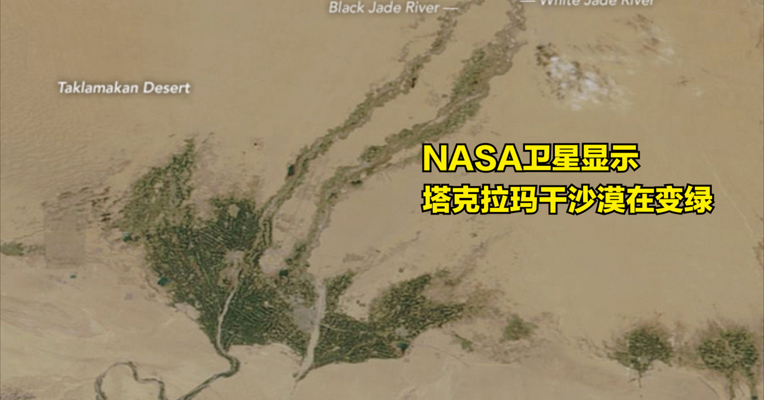 视频丨NASA卫星图显示塔克拉玛干沙漠在变绿 今天你种树了吗？