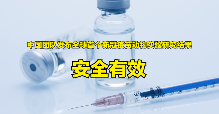 视频丨中国团队发布全球首个新冠疫苗动物实验研究结果 安全有效！