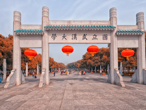 武汉大学深圳校区取消了？官方正式答复：该项目已终止