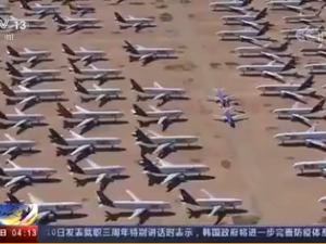 全球航空运输量同比下降63%，飞机停放成难题，有航司每小时亏损高达100万美元，全球历史第二悠久的航空公司申请破产